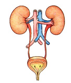 Картинки разные