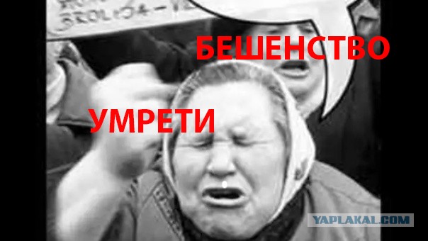 Молодая пара, купив участок, получила неожиданный бонус – колонию желтых сусликов.