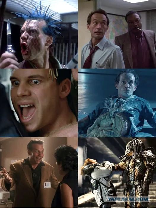 Так ещё не каждый смог бы