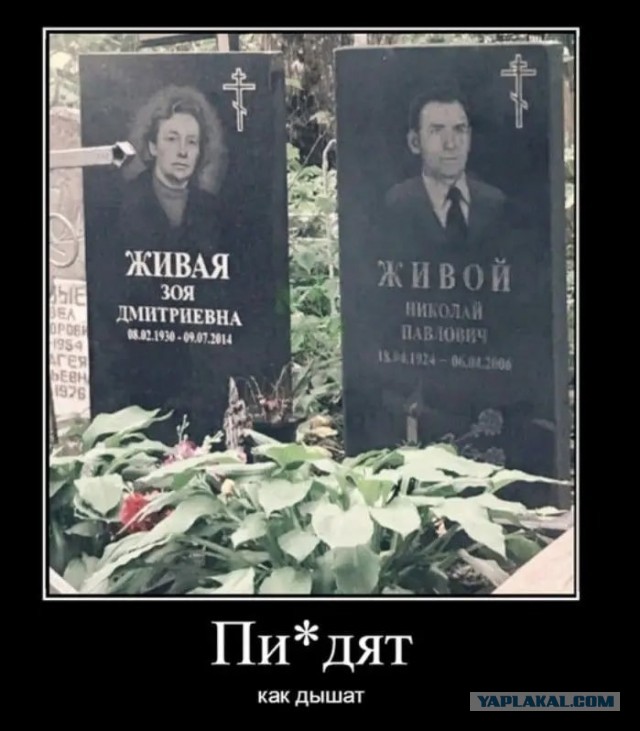 Картинки для деградации 33 (разной степени свежести)