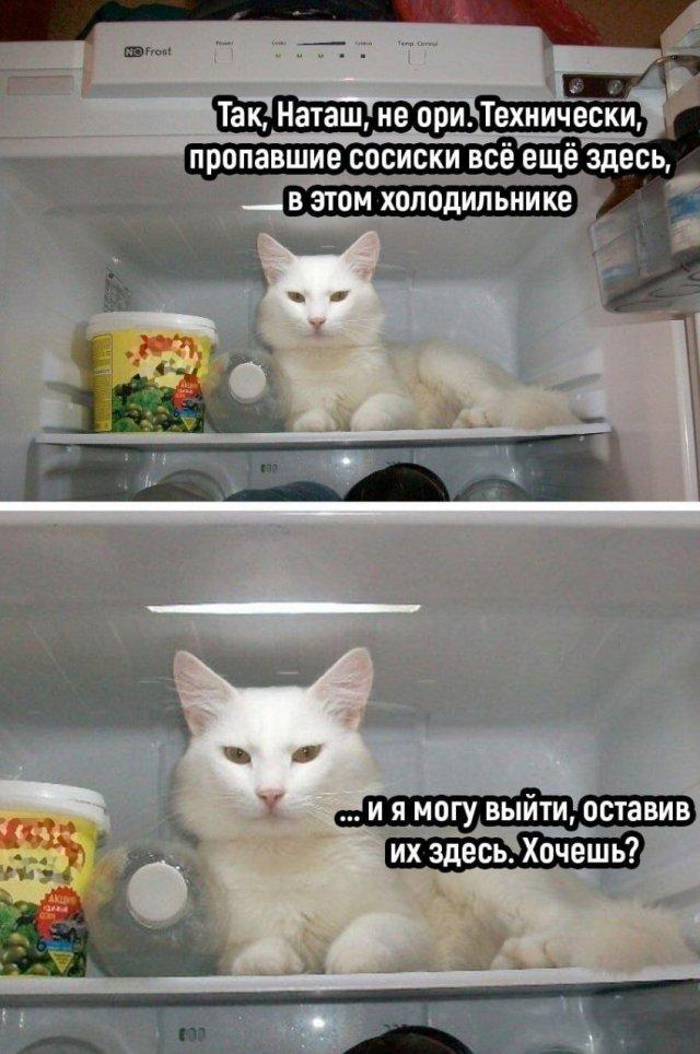 Картинки для деградации 54 (разной степени свежести)