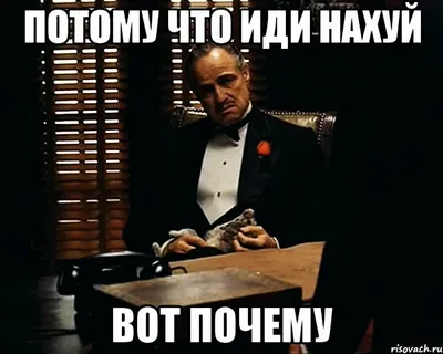 В Вологодской области введены ограничения на использование мобильного интернета