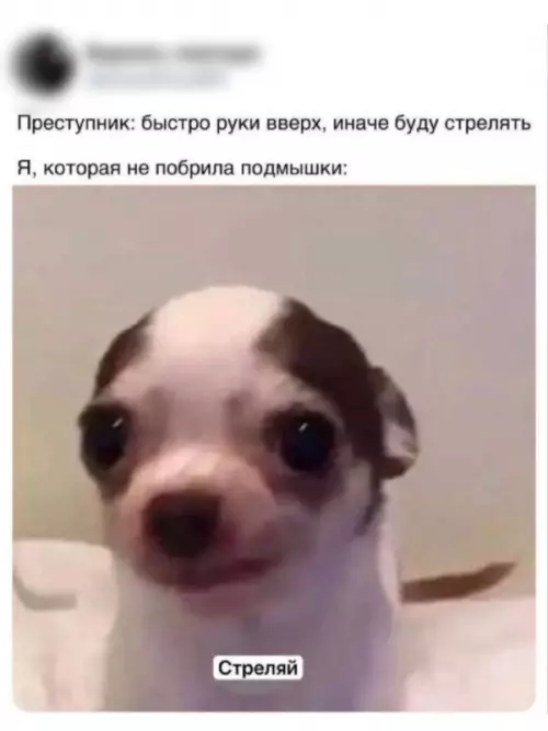 20785192.webp