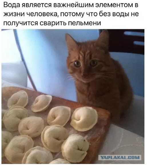 Картиночки, баянчики 14 марта