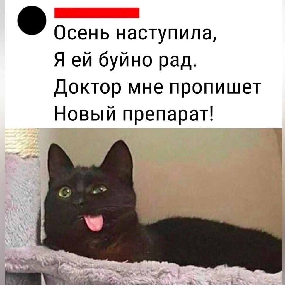 Немного картинок на ночь