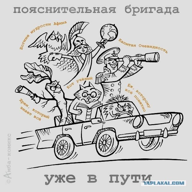 Пора возвращаться в строй
