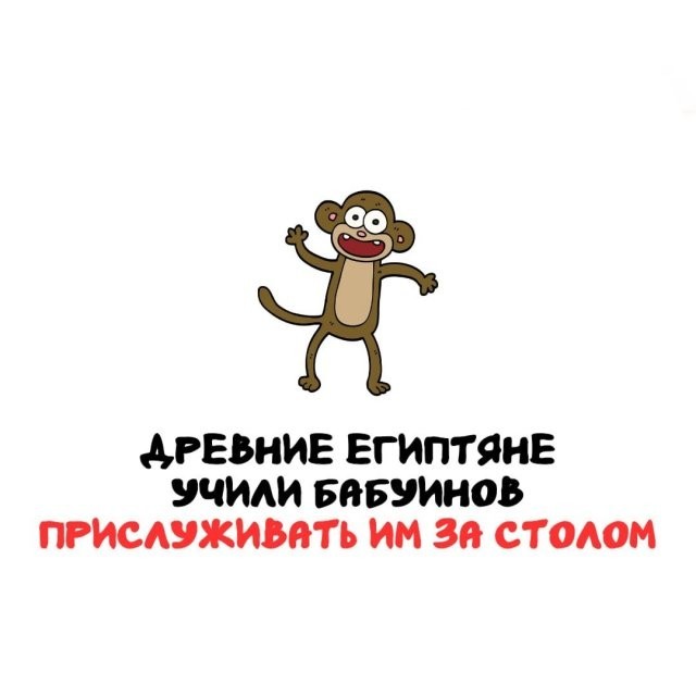Интересные и короткие факты на все случаи жизни 19.04.26