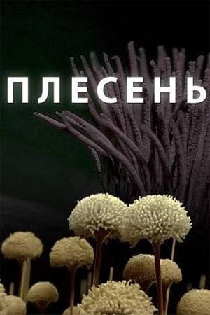 Кто настоящий хозяин Земли