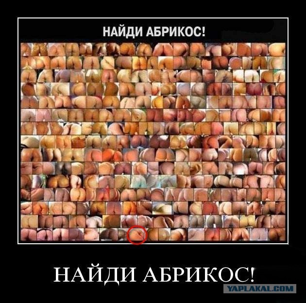 Говно, жопа. Сборник боянов на заданную тему