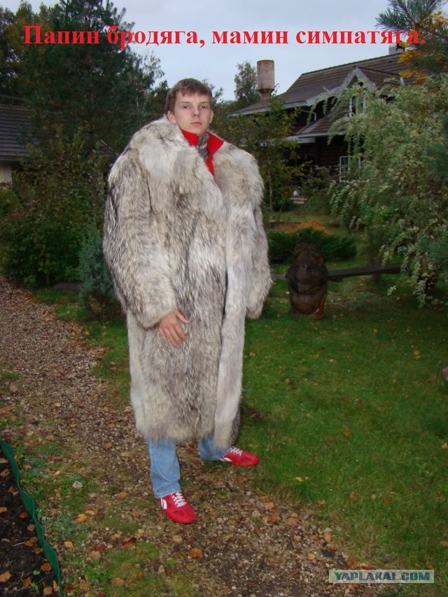 Никогда