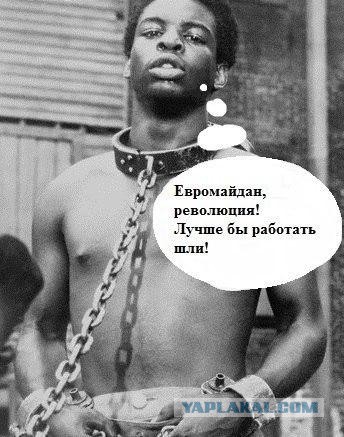 Беркут пошел на штурм