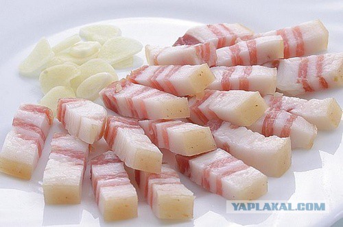 Oтступление украинского легиона