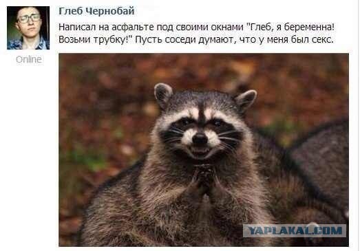 Смешные комментарии из социальных сетей.