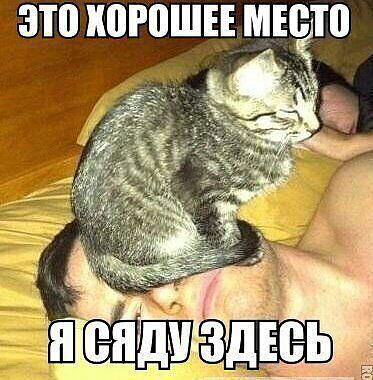 Улыбнуло часть "2"