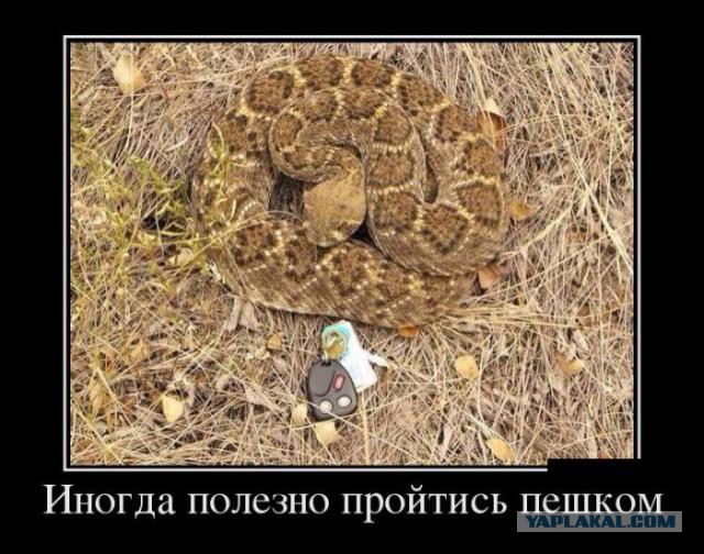 Немного позитива на пятницу.
