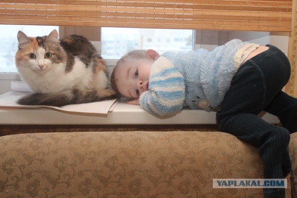 Кошка по имени Мышь