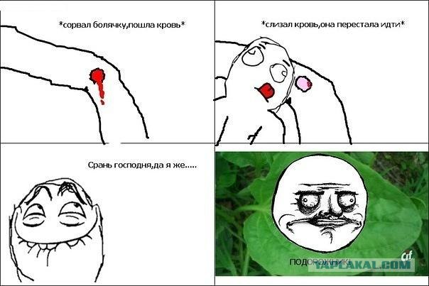 Я все-таки могу