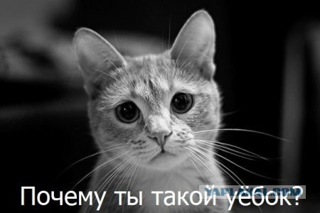 Блатной проучил 40-тонную фуру...