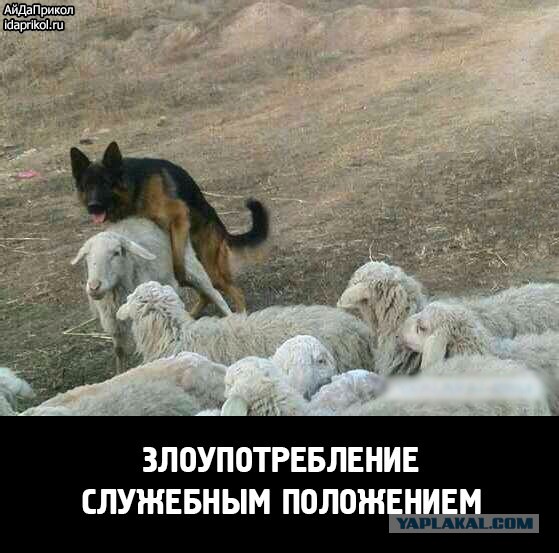 Демотиваторов пост, добавляйте свои