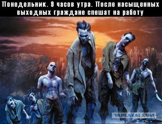Черный юмор как он есть.