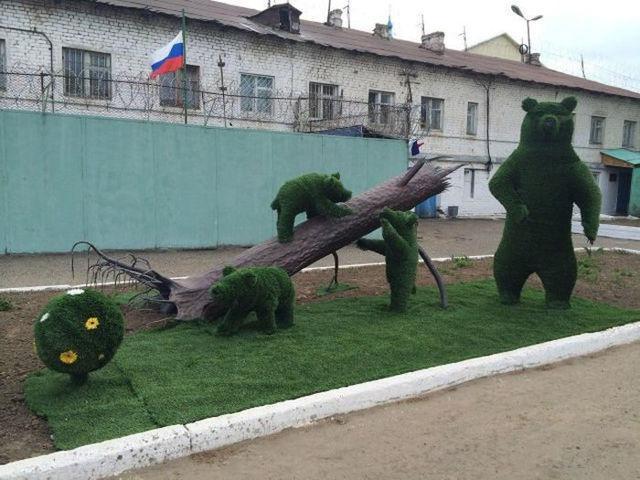 Весёлые картинки