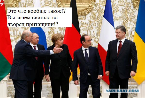 Предлагаю пожабить