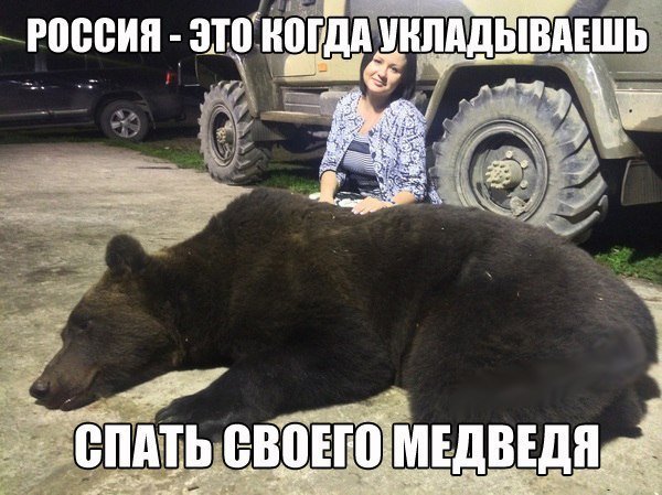 Медведь и Крым