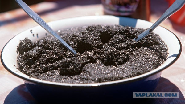 Какие продукты уникальны для Вашего региона?
