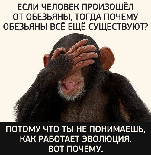 Реальность эволюции