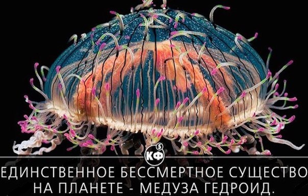25 интересных фактов.