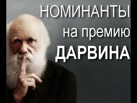 Норвежская художница застряла голой на дереве