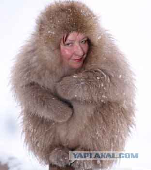 Она знает толк в фотошопе
