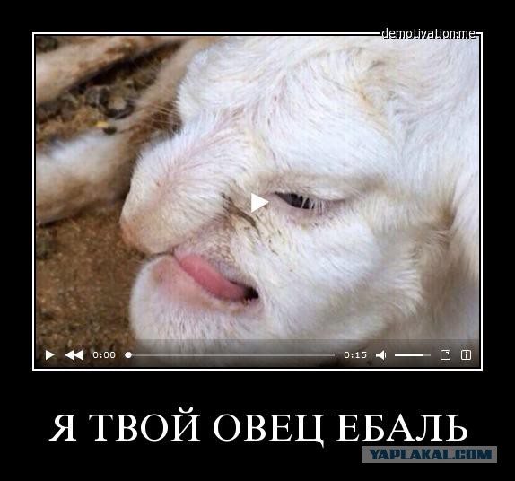 Если взять и смешать разные породы
