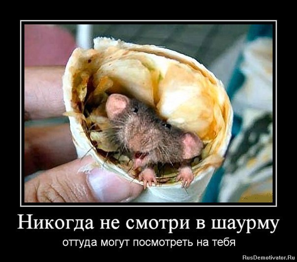 Плюшкиным посвящается