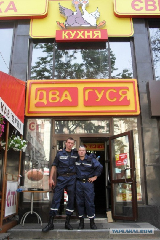 Прикольные картинки