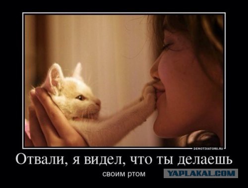 Картинки на пятницу