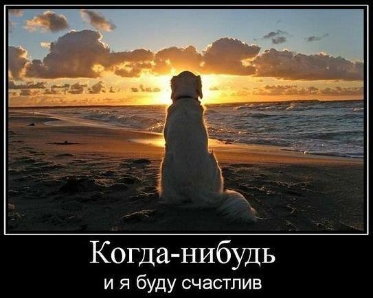 Весёлые картинки в чёрной рамке