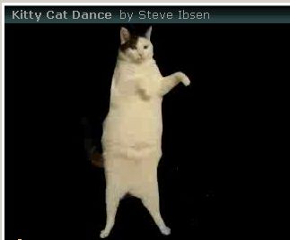 Kitty Cat Dance
