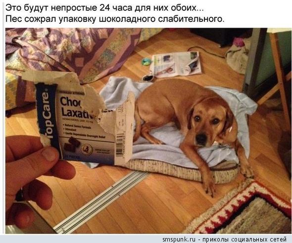 Смешные комментарии 06.03.2016