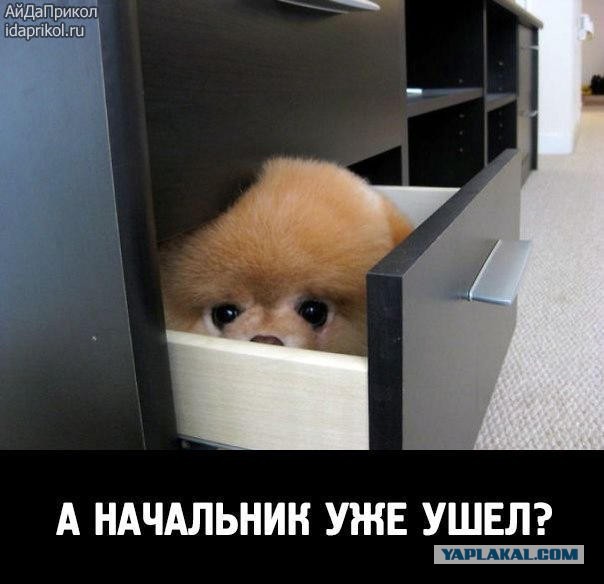 Интересные и веселые картинки