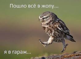 Гараж - это самый лучший подарок для будущего мужчины