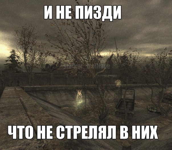 Фантом S.T.A.L.K.E.R-Dead Air Amino
