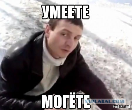 Дал отпор