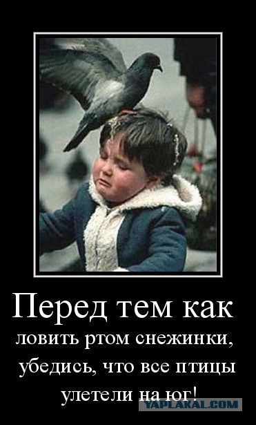 Герои АТО, кто они?