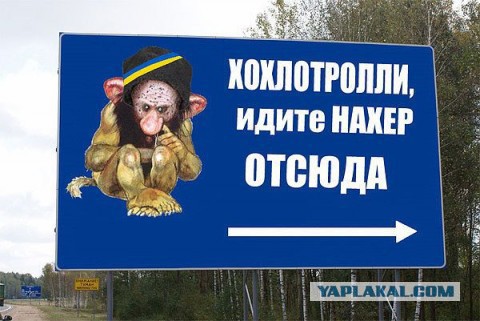 Донбасс возрождает промышленность вопреки блокаде и войне