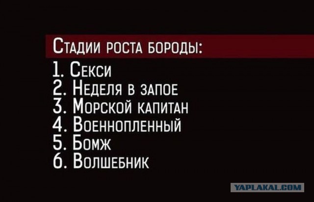 Бородатым посвящается!
