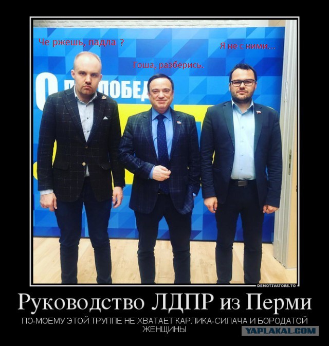 Не очень светлый и абсурдный юмор