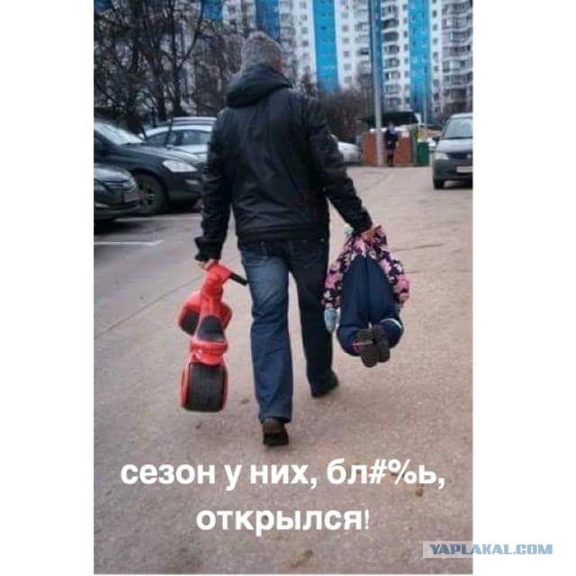 Очередной хруст
