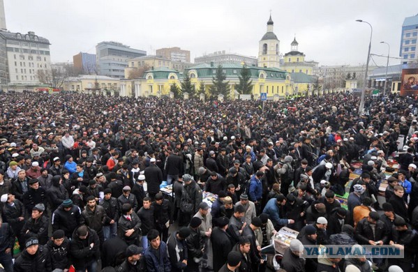 Муфтий Москвы выступил в Госдуме с докладом о нехватке мечетей в столице