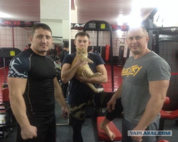 Полная правда по ситуации в Миллерово